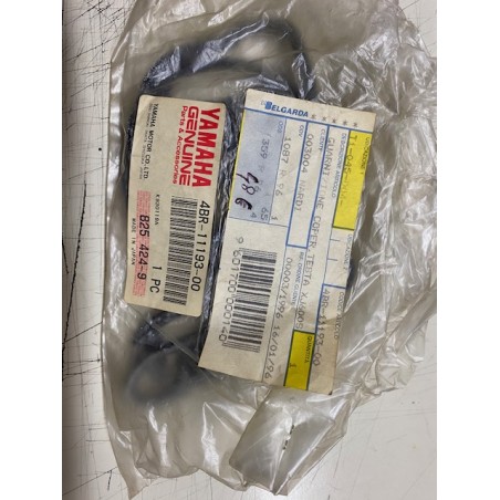 Guarnizione coperchio testata Diversion 600