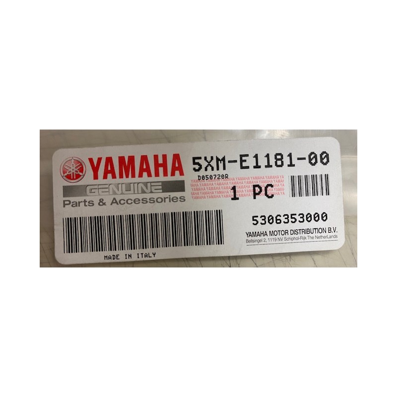 Guarnizione testa Yamaha Majesty 180