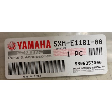 Guarnizione testa Yamaha Majesty 180