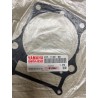 Guarnizione base Yamaha Tenere 660
