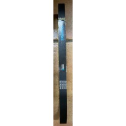 Cinghia trasmissione Dayco Malaguti F18 Warrior 125