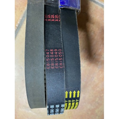 Cinghia originale per Aprilia 50