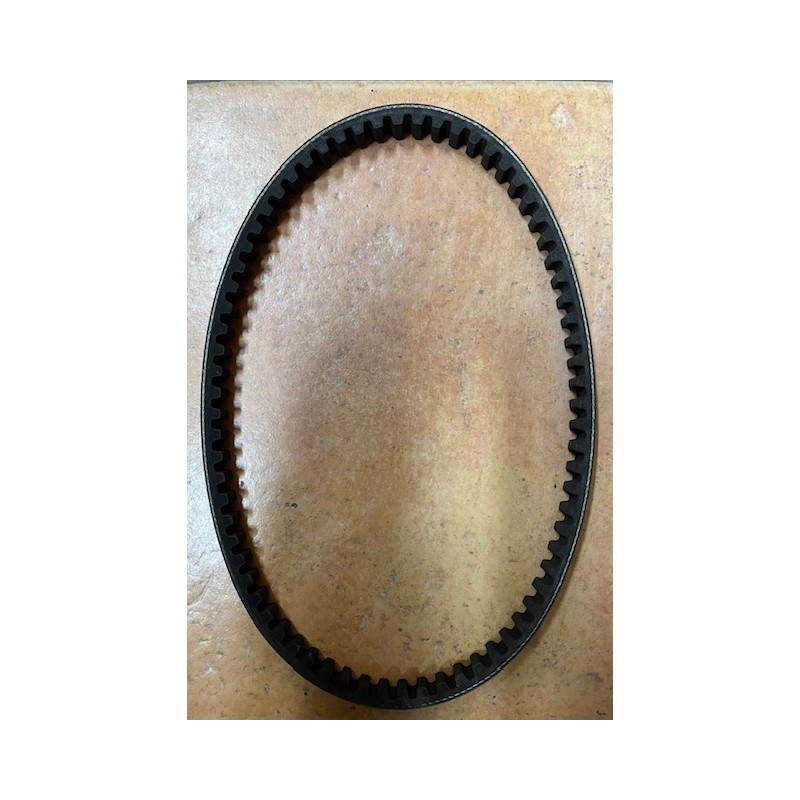 Cinghia di trasmissione Dayco Scarabeo 50