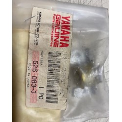 Bobina a impulsi generatore Yamaha TDR 125