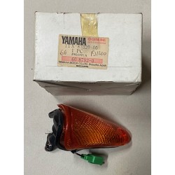 Lampeggiatore anteriore dx...