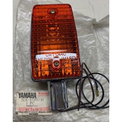Lampeggiatore anteriore sx...