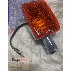 Indicatore lampeggiatore...