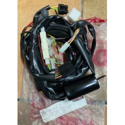 Cablaggio originale Derbi Atlantis 50 Vthatloea