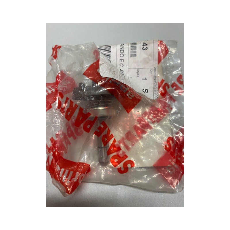 Albero Pompa acqua originale Aprilia AP8580143