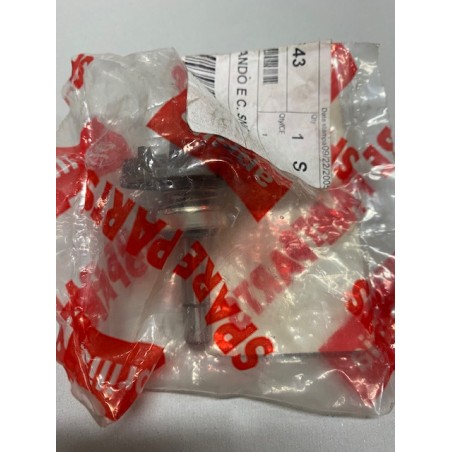 Albero Pompa acqua originale Aprilia AP8580143
