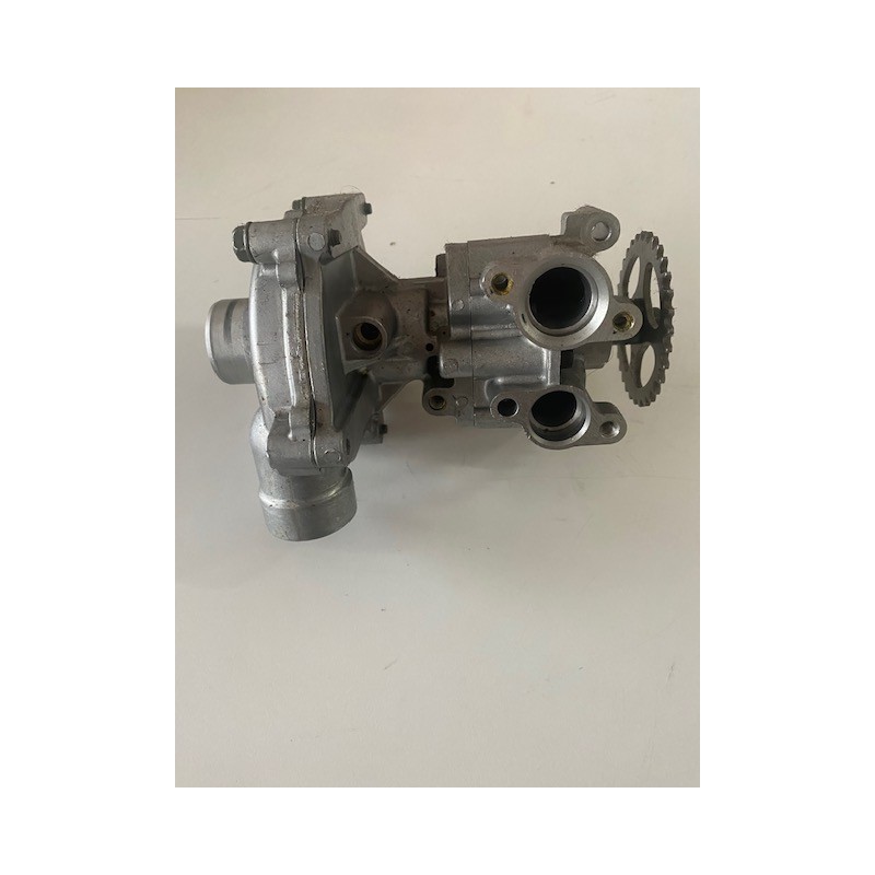 Pompa acqua originale Yamaha R1 FZ8 FZ1 4C81242000