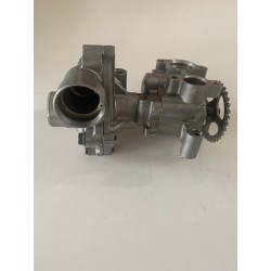 Pompa acqua originale Yamaha R1 FZ8 FZ1 4C81242000