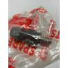 Dado con pinza per stelli 10 mm lato dx Aprilia Rally Scarabeo