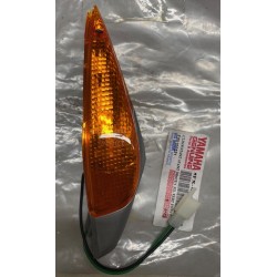 Lampeggiatore direzione DX...