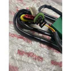 Centralina verde euro 2-2.3 Ducati energia 02409900