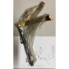Cavalletto laterale Malaguti Crosser 50 Buzzetti 4716