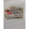 Pastiglia di regolazione originale Yamaha XTZ 750, YZ450, 250, R1, Majesty 400, 3LD-12168-Y1
